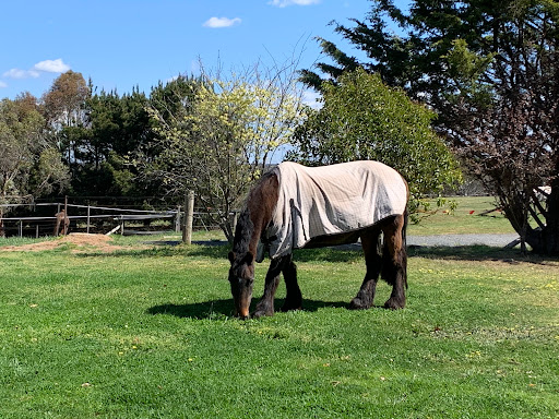 Paudebaire Equine Services Pty Ltd