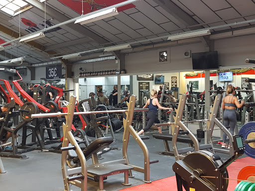 Xtreme Gyms - Thumbnail