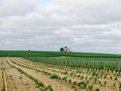Domaine des Roussets