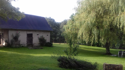 Photo de Canaletto à Fontaine-le-Bourg (76690)