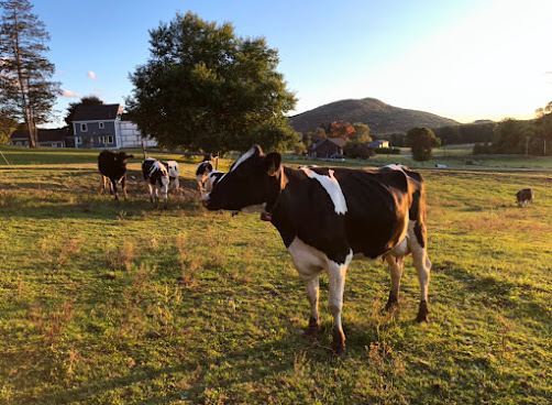 Barstow's Dairy Store and Bakery at Barstow's Longview Farm by null