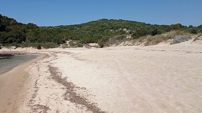 Μυκηναικό τάφο, Πύλος Νέστωρ 240 01