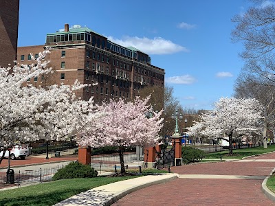 The Johns Hopkins Hospital