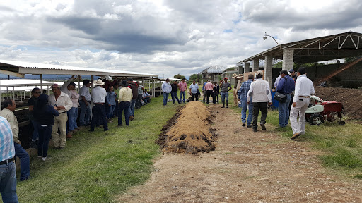 Agricultores Unidos Región Guayangareo SPR de RL - Thumbnail