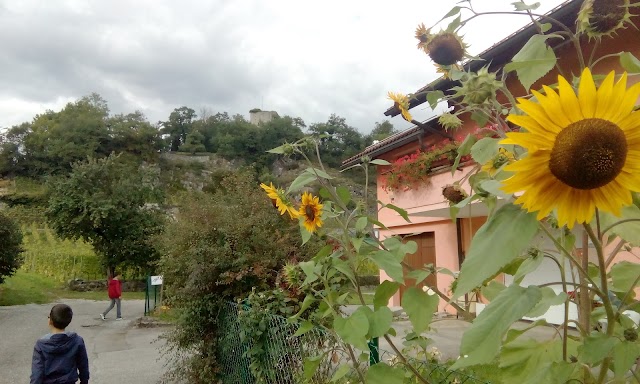 Jardin botanique de St-Triphon