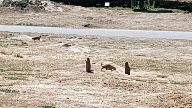 Tierpark Wismar