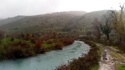 Tatzat albania