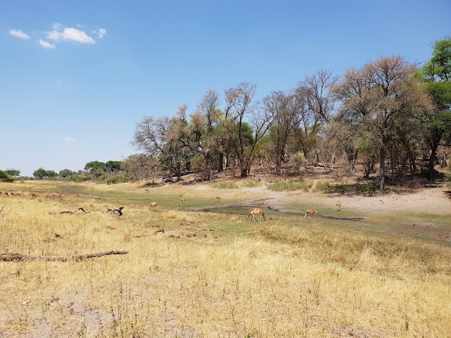 Parc national de Bwabwata