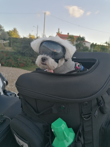 Photo de Le Clos de Tesson à Tesson (17460)