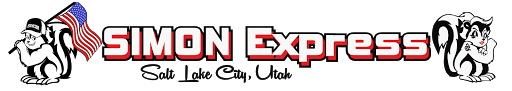 Simon Express - Visual