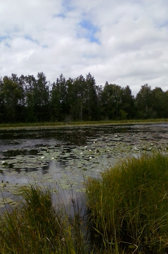 Benjamin Lake Family Picnic Area - Thumbnail