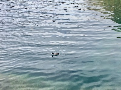 Photos of Laguna Cuicocha