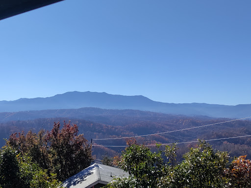 Bear Haven Vacation Rental - Thumbnail