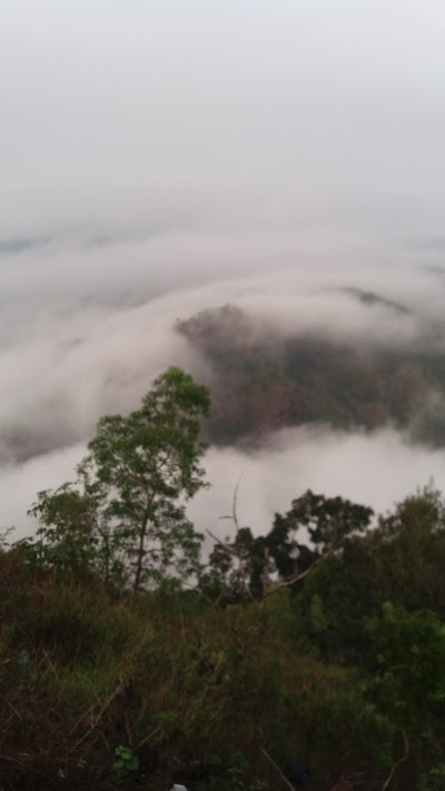 Photos of Taman Petro