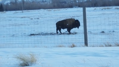 Photos of Bear River State Park