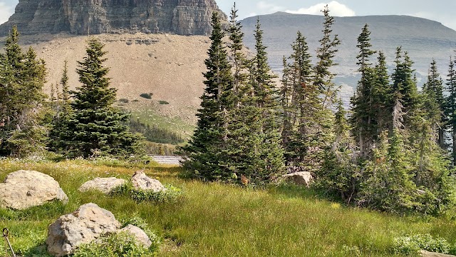 Logan Pass Visitor Center