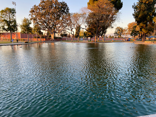 Ford Park Adult Center - Thumbnail