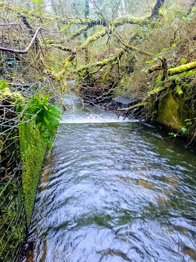Trimsaran waterfall - Visual