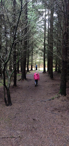 Winnyknowe Woods - Thumbnail