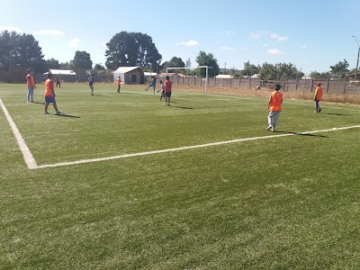 stadium