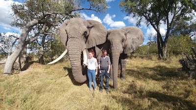 Living With Elephants, Sanctionary Retreats