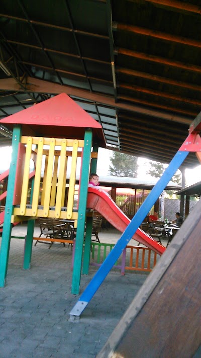 Photos of Amigos