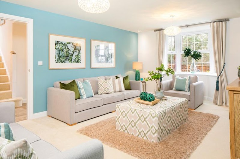 David Wilson Homes - Dida Gardens photo 2