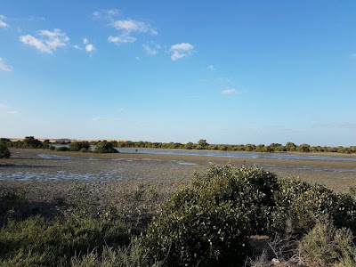 Photos of Crabbing UAQ