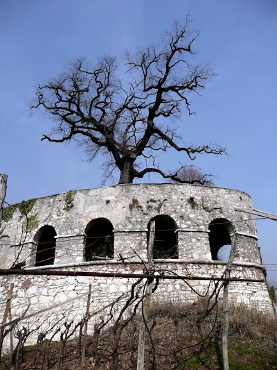 Poggio della Quercia di Sasso (TN)