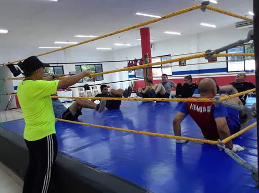 Ibarra Boxing Promotions #2