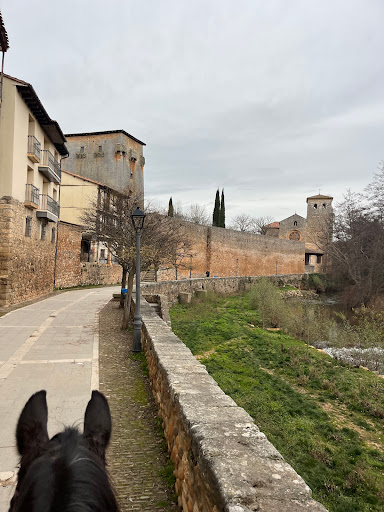 Caballos de Castilla - Ecuestur - Thumbnail