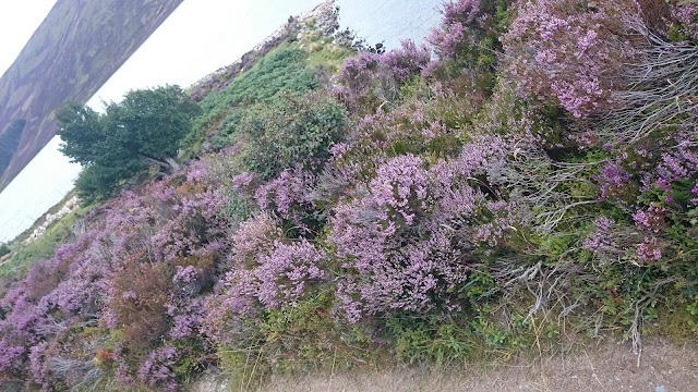 Loch Muick