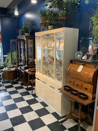 Hidden Gems Rock Shop By The Jewelry Connection - Thumbnail