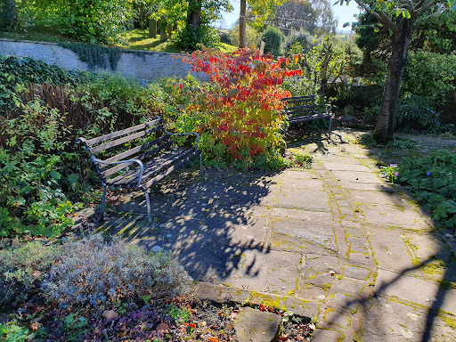 Trinity Garden - Visual