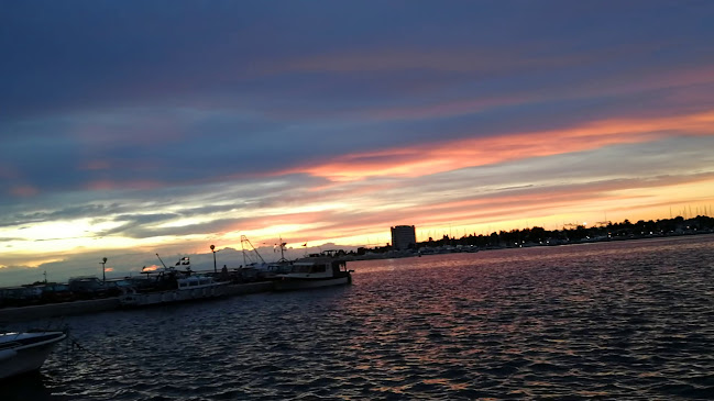 GRAD UMAG - Škola