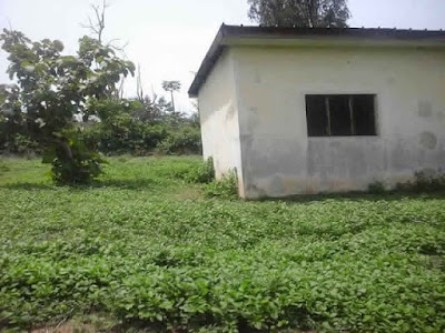 photo of Bureau administratif de l'agriculture de diabo