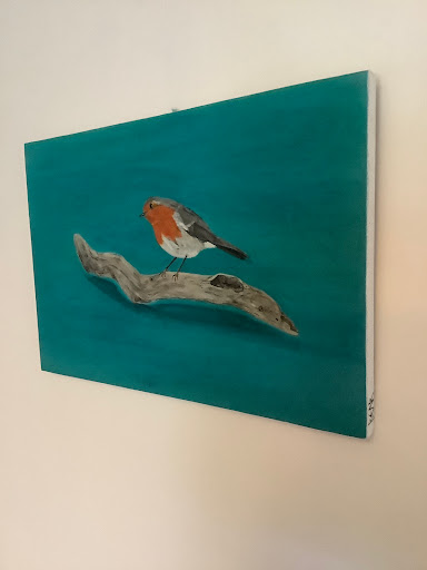 Bear Studio Cornwall - Visual