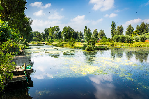 Berkenhoeve Recreation Gallery - Netherlands