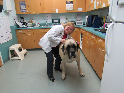 Sykesville Veterinary Clinic
