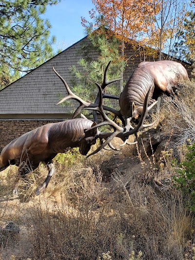 High Desert Museum