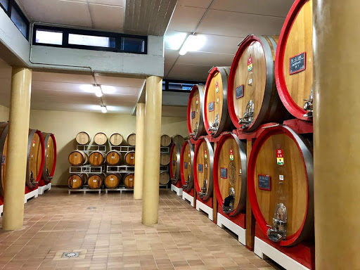 Wine Shop Domìni Veneti Negrar - Thumbnail