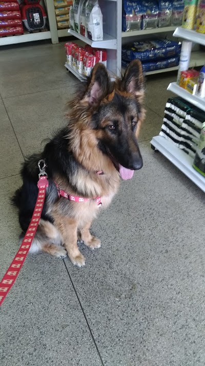 pet-store