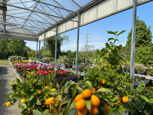Zonser Gartencenter - Thumbnail