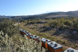 Photo n°20 de Domaine Bertrand-Bergé à Paziols (Cave à vins)