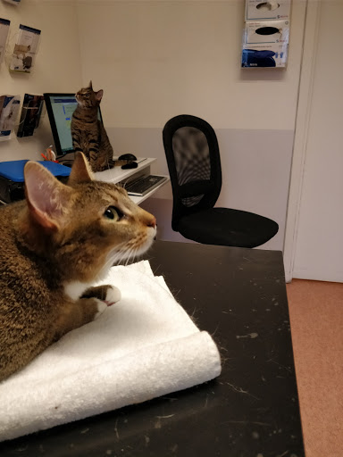 Erikslust Veterinärklinik - Thumbnail