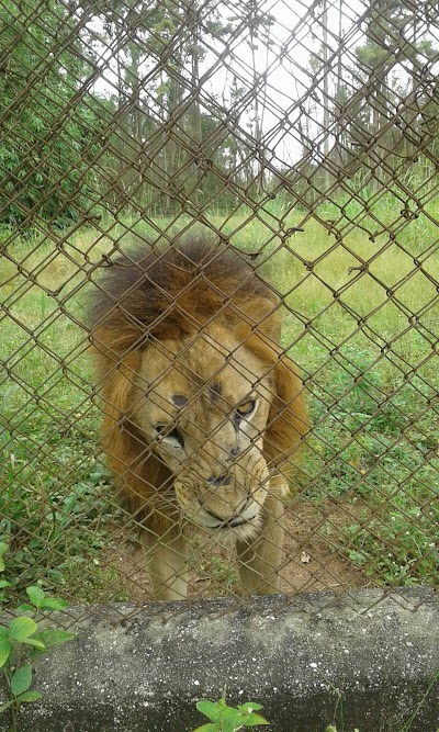 Photos of Owerri Zoo