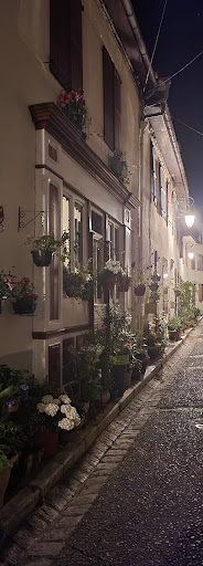 Les Orchidées