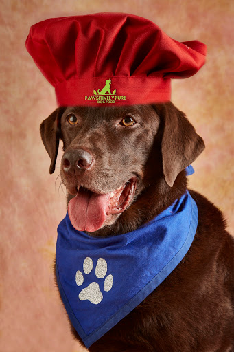 Pawsitively Pure Dog Food - Thumbnail