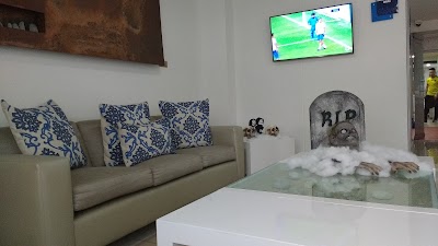 Photos of Hotel Mediterraneo