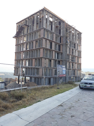 Polilosa del Bajío